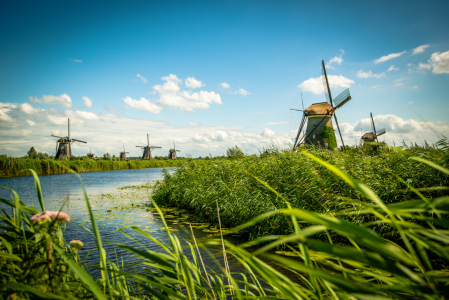 Bild-Nr: 11610743 Die Windmühlen von Kinderdijk Erstellt von: hannes cmarits
