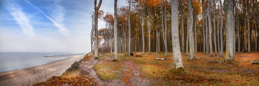 Bild-Nr: 11610999 Steilküste Erstellt von: FotoDeHRO