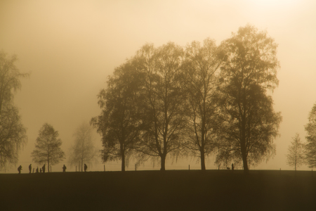 Bild-Nr: 11612043 Herbstspaziergang Erstellt von: Dimo Tabken