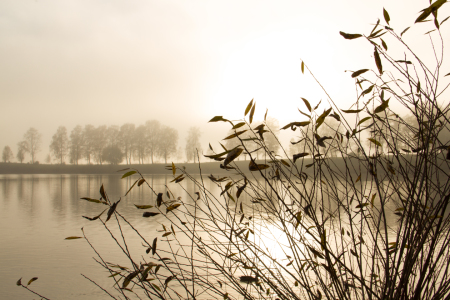 Bild-Nr: 11612051 Herbst Erstellt von: Dimo Tabken