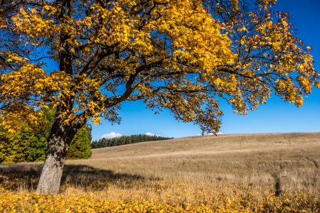 Bild-Nr: 11612835 Landschaft Erstellt von: Dieter Neumann