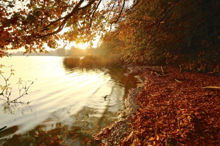 Bild-Nr: 11613159 Idylle am See Erstellt von: Ursula Reins