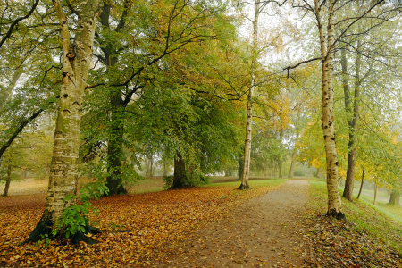 Bild-Nr: 11613675 Wanderweg Erstellt von: Ostfriese