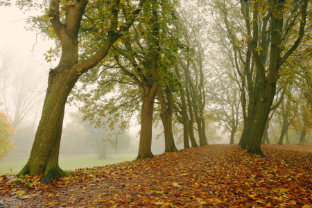 Bild-Nr: 11613687 Herbsttag Erstellt von: Ostfriese