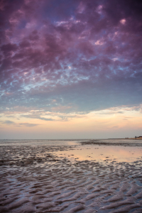 Bild-Nr: 11614217 Wattenmeer Erstellt von: DW-Photo