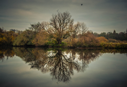 Bild-Nr: 11616387 Fluss-Spiegelung Erstellt von: Fineart-Prints-and-Photos