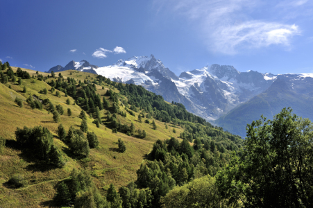 Bild-Nr: 11616905 Alpenpanorama im Sommer Erstellt von: KundenNr-160338