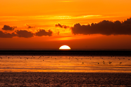 Bild-Nr: 11617243 Sonnenuntergang Erstellt von: Tante-Sally