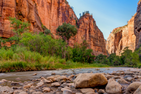 Bild-Nr: 11617473 Zion National Park Erstellt von: TomKli