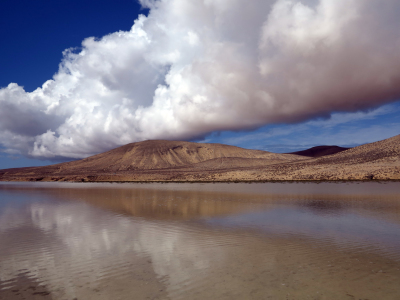 Bild-Nr: 11619853 Fuerteventura Spanien Dünen Erstellt von: Renate Knapp