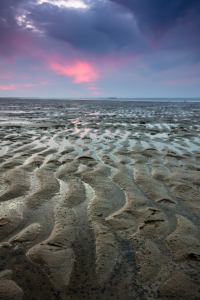 Bild-Nr: 11622123 Wattenmeer Erstellt von: DW-Photo