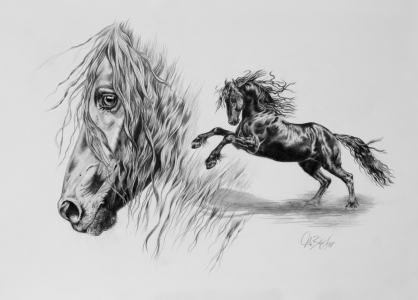 Bild-Nr: 11623121 Liberté noir Erstellt von: Art-Equus