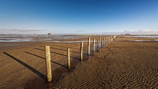 Bild-Nr: 11626589 Nichts wie Weite an der Nordsee Erstellt von: ReichderNatur