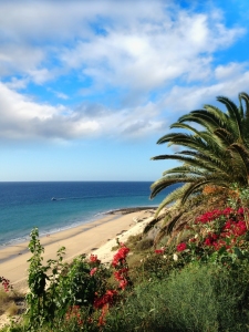 Bild-Nr: 11626911 Küste Fuerteventura  Erstellt von: Renate Knapp