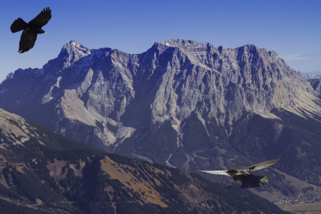 Bild-Nr: 11628027 Zugspitze mit Bergdohlen Erstellt von: Sara Agostini