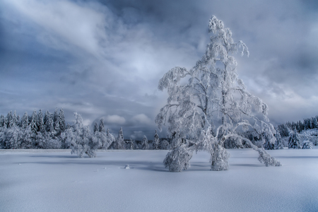 Bild-Nr: 11628639 Wintertime Erstellt von: Achim Thomae