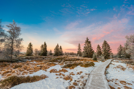 Bild-Nr: 11629921 Hohes Venn Erstellt von: euregiophoto