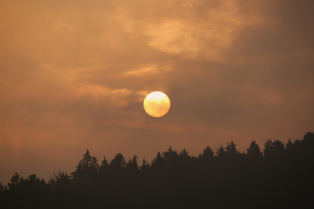 Bild-Nr: 11630601 Sonnenaufgang Erstellt von: D-Koppl