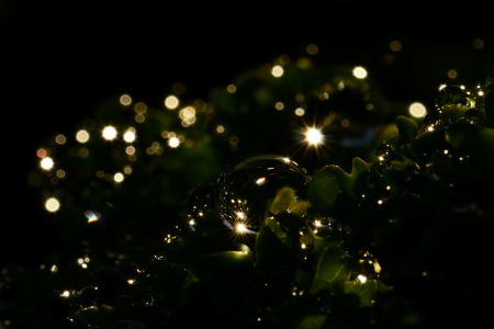 Bild-Nr: 11632581 sah ich goldne Lichter blitzen Erstellt von: Ostfriese