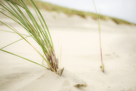 Bild-Nr: 11633339 Ruhe am Strand Erstellt von: MartinaW