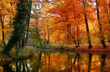 Bild-Nr: 11635929 Herbst im Park Erstellt von: Atteloi