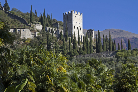 Bild-Nr: 11637615 Castello di Arco Erstellt von: EderHans