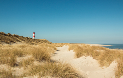 Bild-Nr: 11637683 Sylt 2015 Erstellt von: online-ms