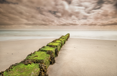 Bild-Nr: 11641718 Beton-Buhnen auf Sylt Erstellt von: Nordbilder