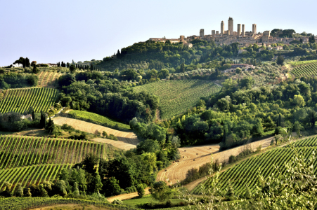 Bild-Nr: 11644994 Hügellandschaft San Gimignano Erstellt von: KundenNr-160338