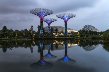 Bild-Nr: 11646136 Super Trees, Gardens by the Bay, Singapur, Asien Erstellt von: connys-traumreisen