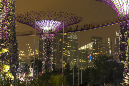 Bild-Nr: 11646146 Super Trees, Gardens by the Bay, Singapur, Asien Erstellt von: connys-traumreisen