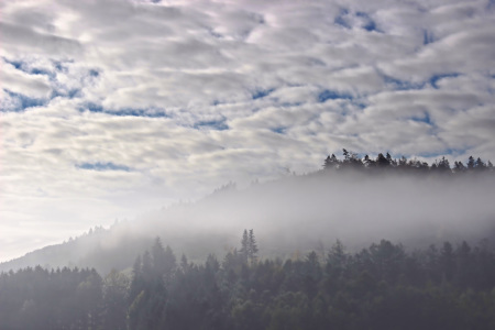 Bild-Nr: 11651858 Wolken, Wald und Nebel Erstellt von: falconer59