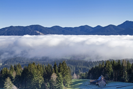 Bild-Nr: 11651872 Nebel im Isarwinkel Erstellt von: EderHans