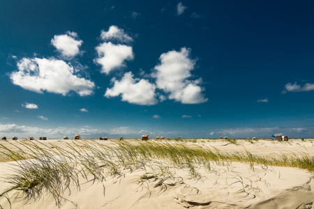 Bild-Nr: 11655376 Amrum Erstellt von: Reiner Würz