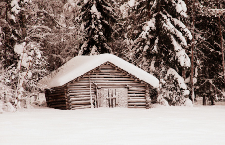 Bild-Nr: 11655580 .. Tiefschnee .. Erstellt von: GUGIGEI