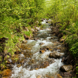 Bild-Nr: 11656020 Frühling am Wildbach Erstellt von: Reiner Würz