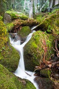 Bild-Nr: 11661100 Wasserfall III Erstellt von: Schimanski-Photography