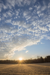 Bild-Nr: 11664094 Morgensonne Erstellt von: SusaZoom