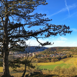 Bild-Nr: 11664498 Blaubeuren Erstellt von: fotoping