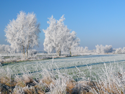 Bild-Nr: 11664530 Raureif im Spätherbst Erstellt von: Ostfriese