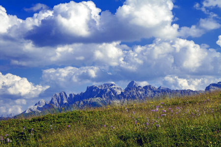 Bild-Nr: 11665508 Dolomitenblick Erstellt von: MartinaW