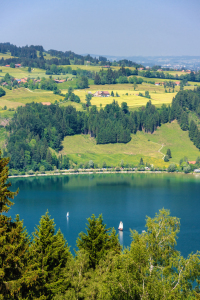 Bild-Nr: 11668476 Alpsee Immenstadt Erstellt von: TomKli