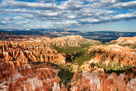 Bild-Nr: 11669666 Bryce Canyon Erstellt von: TomKli