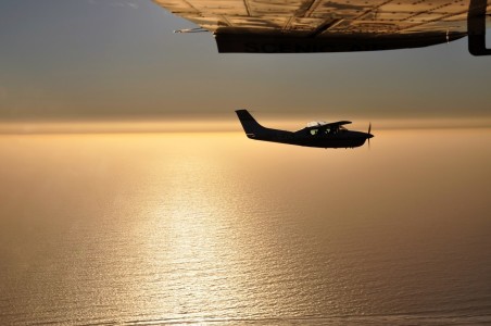 Bild-Nr: 11672394 Flug in die Abendsonne Erstellt von: Nicola Furkert