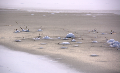 Bild-Nr: 11674264 Winterruhe Erstellt von: GUGIGEI