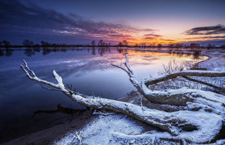 Bild-Nr: 11674588 Die Elbe bei Bleckede Erstellt von: PhotoArt-Hartmann