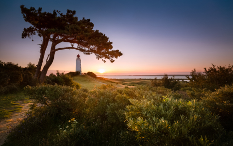 Bild-Nr: 11675776 Sonnenaufgang am Leuchtturm Dornbusch | Hiddensee  Erstellt von: Licht-Pixel-Fotografie