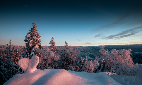 Bild-Nr: 11676048 Winter Erstellt von: Steffen Henze