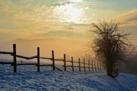 Bild-Nr: 11678008 Winter -Nebel- Romantik Erstellt von: Claudia Evans