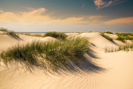 Bild-Nr: 11679026 Nordsee Dünenlandschaft  Erstellt von: Reiner Würz